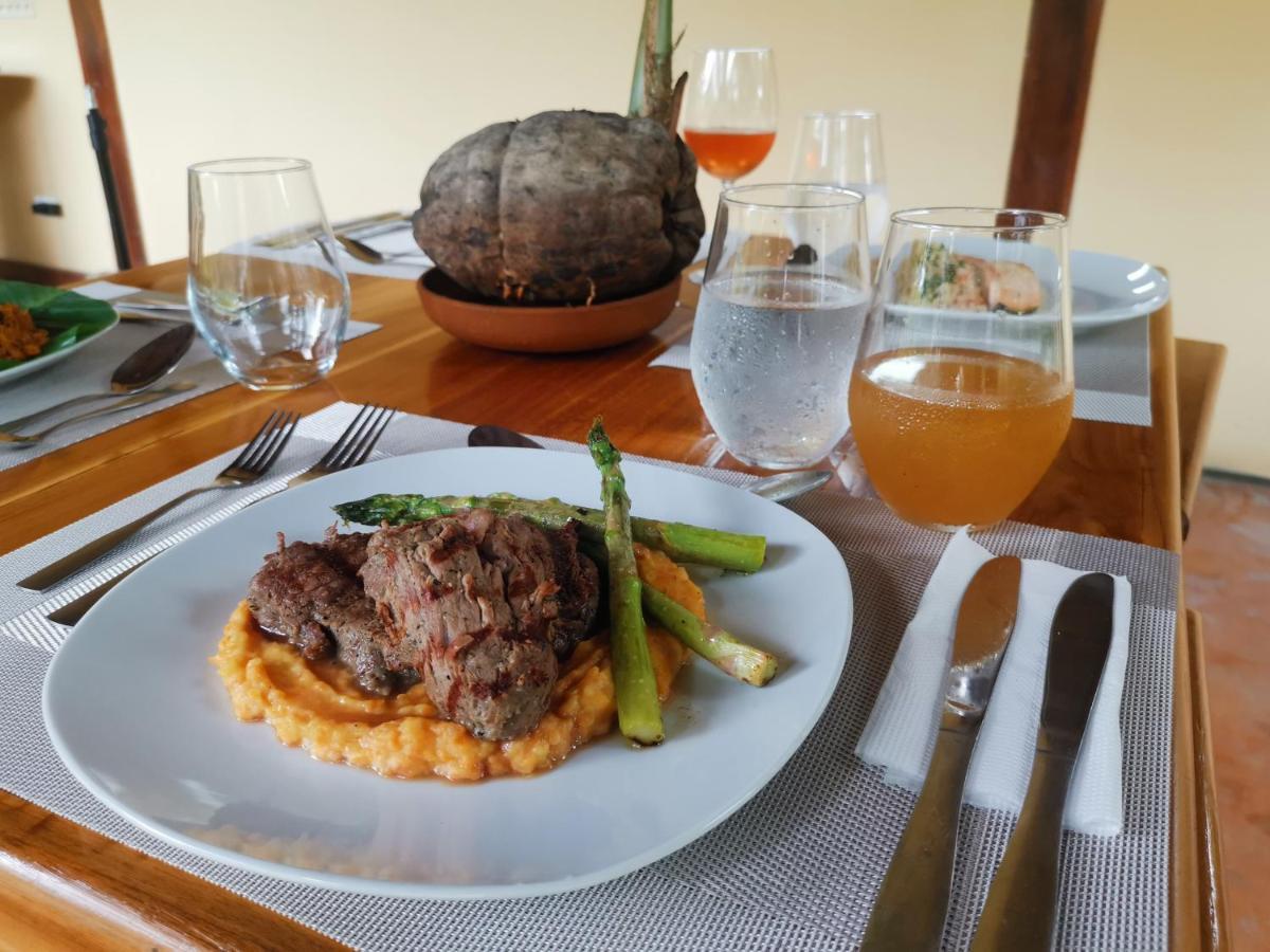 Bed and breakfast Gatun *